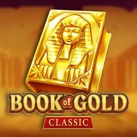 Book of Gold Classic logo by Playson at Vipzino Casino